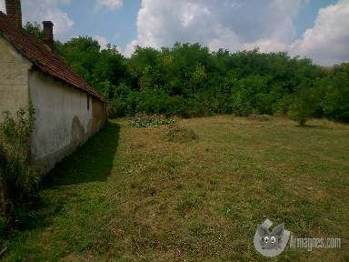 Eladó telek apróhirdetés képe