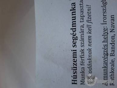 Segédmunka lehetőség.  apróhirdetés képe