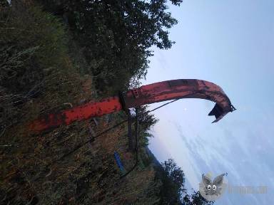 Silózó,csipegető apróhirdetés képe