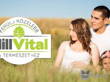 Legyen viszonteladó partnerünk még ma! apróhirdetés képe