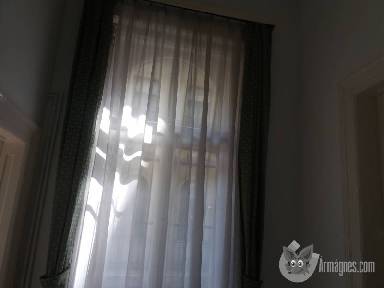 Szoba kiadó apróhirdetés képe