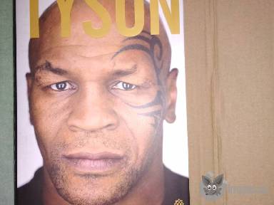 Mike Tyson- önéletrajzi könyv apróhirdetés képe